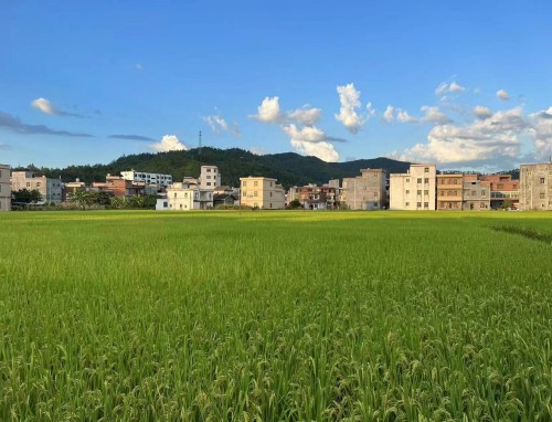 马德里竞技VS阿森纳直播_马德里竞技VS阿森纳免费在线高清直播_马德里竞技VS阿森纳视频在线观看无插件